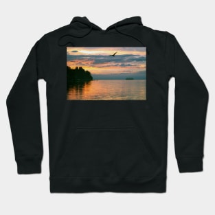 Ferry Findings Hoodie